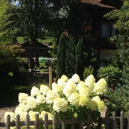 Milchgaessli Frutigen