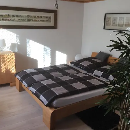 Apartment Milchgaessli *