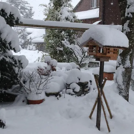 Apartamento Milchgaessli *