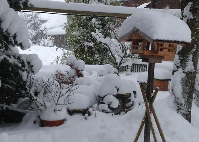 Apartamento Milchgaessli *